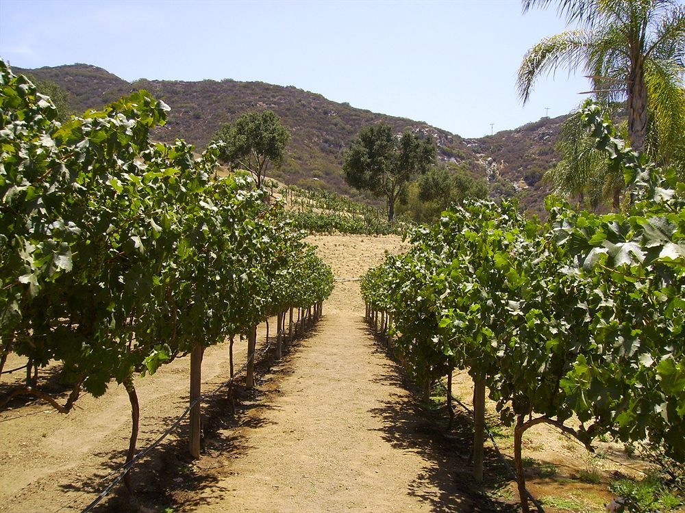 Отель Vineyard Hacienda Spring Valley  Экстерьер фото